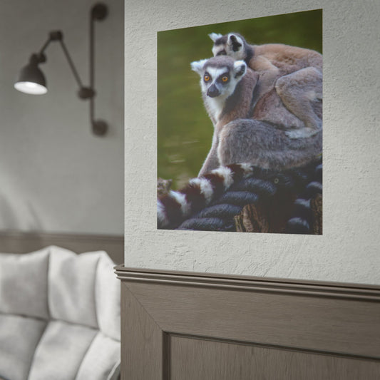 Lemur Family Sunset Poster, Ring-Tailed Lemur Nature Art, Majestic Wildlife Photography Print, Exotic Animal Decor, Jungle Nursery Wall Art