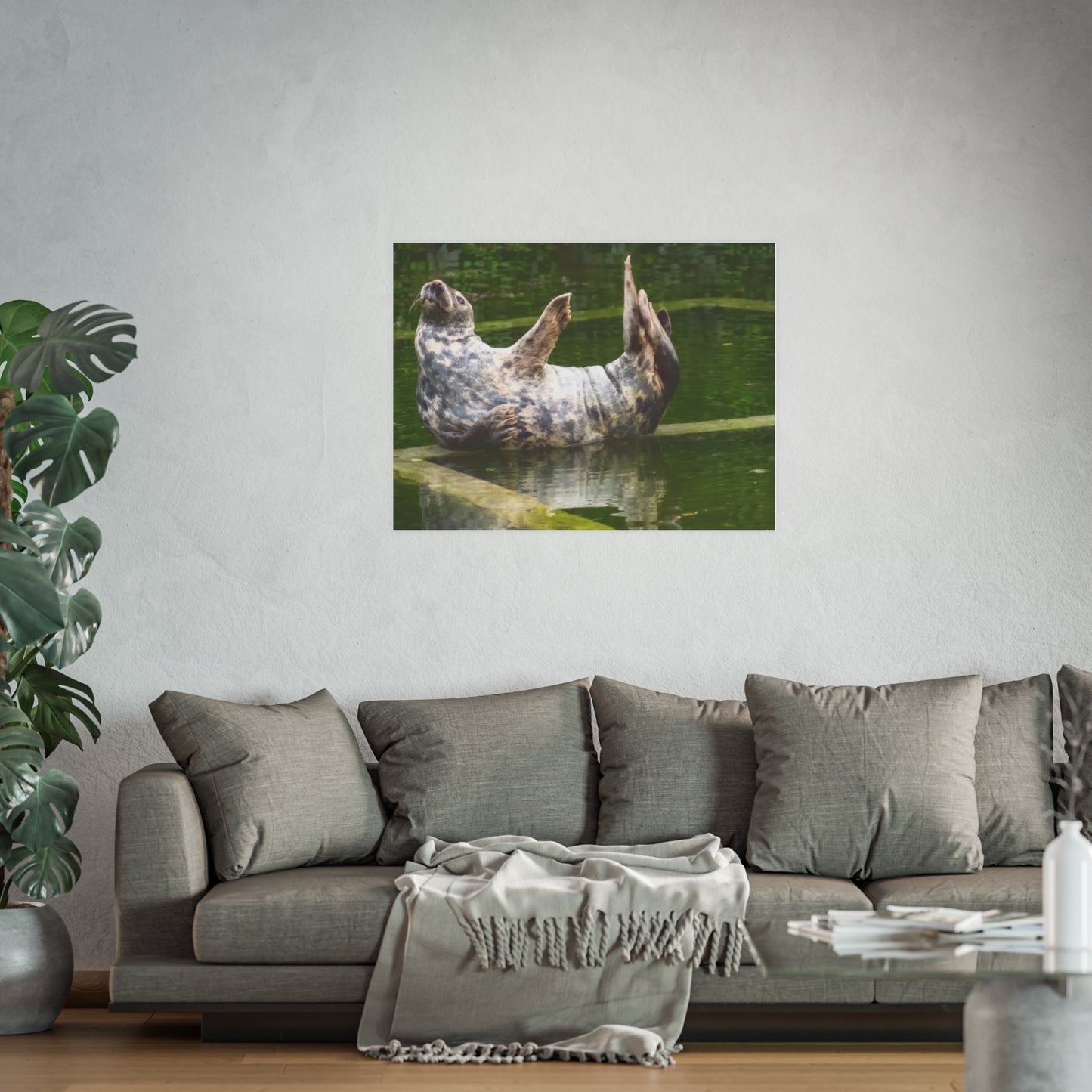 Funny Harbor Seal Poster, Playful Marine Life Wall Art, Cute Animal Zen Decor, Quirky Wildlife Photography