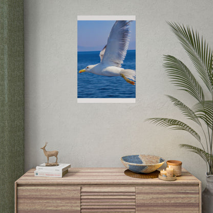 Seagull in Flight Poster, Ocean Blue Sea Wall Art, Coastal Bird Photography Print, Mediterranean Nautical Decor, Minimalist Beach House Art
