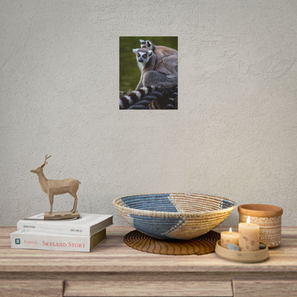 Lemur Family Sunset Poster, Ring-Tailed Lemur Nature Art, Majestic Wildlife Photography Print, Exotic Animal Decor, Jungle Nursery Wall Art
