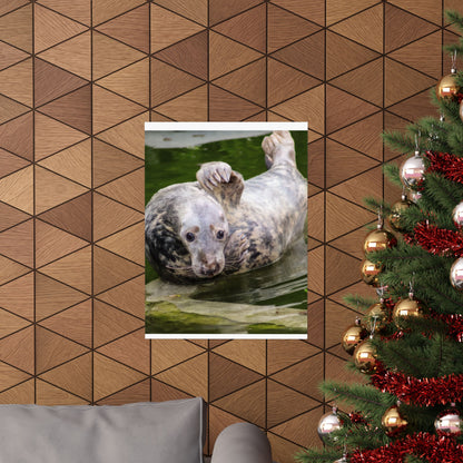 Funny Harbor Seal Poster, Playful Marine Life Wall Art, Cute Animal Zen Decor, Quirky Wildlife Photography, Archival Matte Print Wall Art