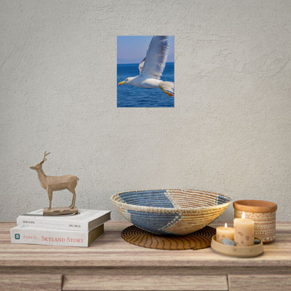 Seagull in Flight Poster, Ocean Blue Sea Wall Art, Coastal Bird Photography Print, Mediterranean Nautical Decor, Minimalist Beach House Art
