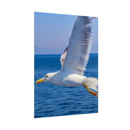Seagull in Flight Poster, Ocean Blue Sea Wall Art, Coastal Bird Photography Print, Mediterranean Nautical Decor, Minimalist Beach House Art