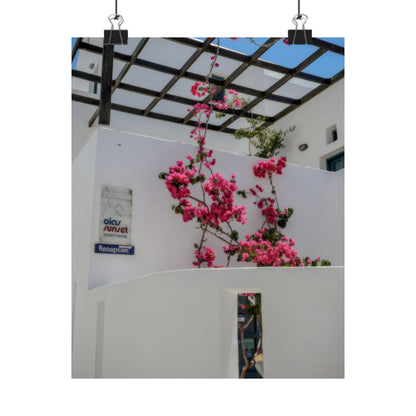 Santorini Bougainvillea Poster, Oia Greece White Architecture Art, Mediterranean Floral Wall Decor, Greek Island Photography Print Art Decor