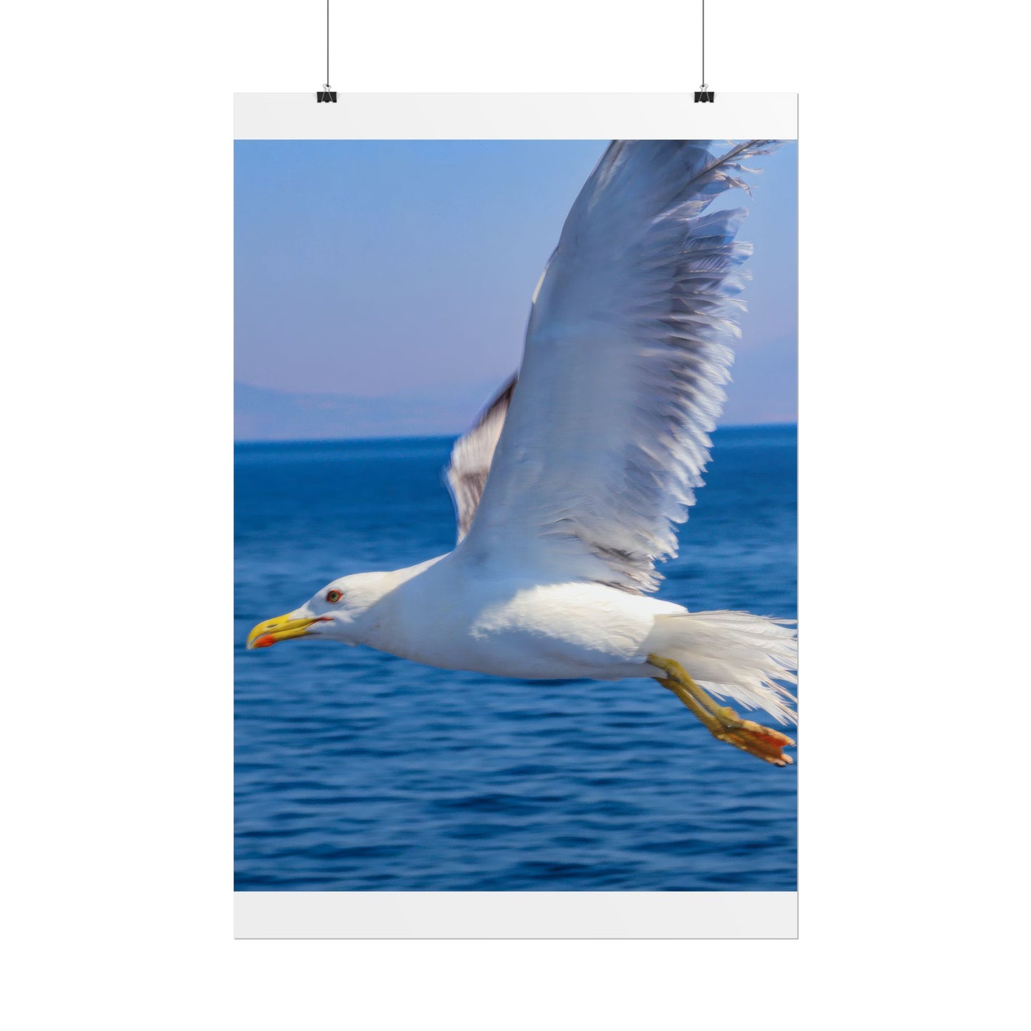 Seagull in Flight Poster, Ocean Blue Sea Wall Art, Coastal Bird Photography Print, Mediterranean Nautical Decor, Minimalist Beach House Art