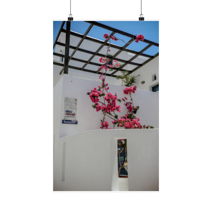 Santorini Bougainvillea Poster, Oia Greece White Architecture Art, Mediterranean Floral Wall Decor, Greek Island Photography Print Art Decor
