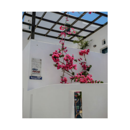 Santorini Bougainvillea Poster, Oia Greece White Architecture Art, Mediterranean Floral Wall Decor, Greek Island Photography Print Art Decor