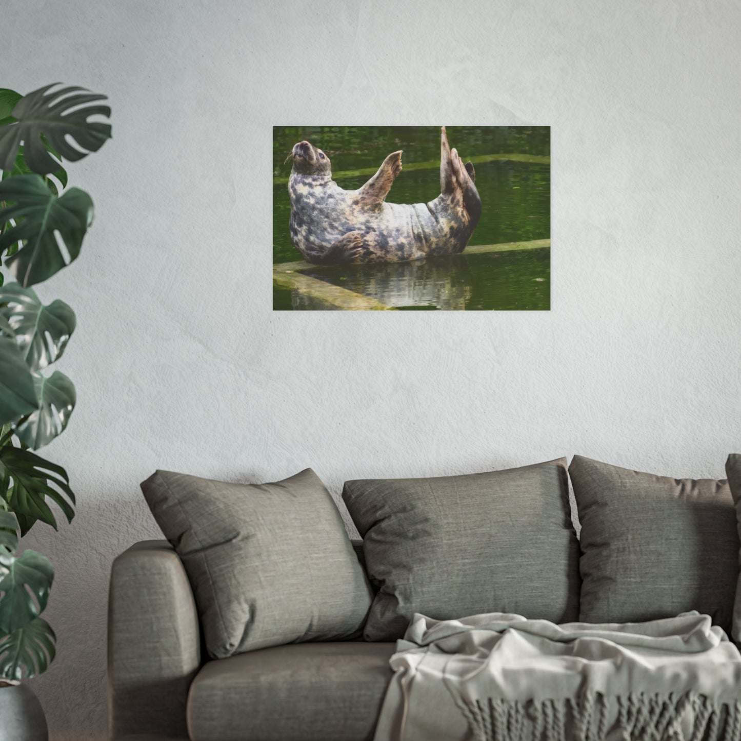 Funny Harbor Seal Poster, Playful Marine Life Wall Art, Cute Animal Zen Decor, Quirky Wildlife Photography