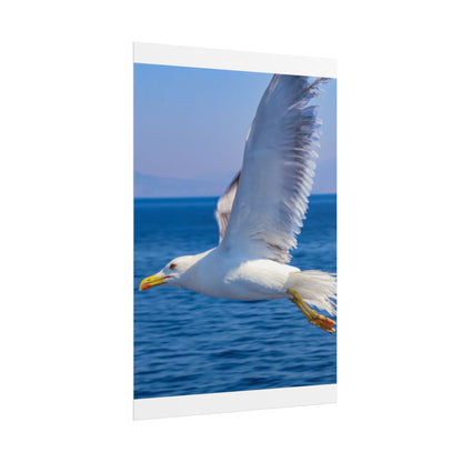 Seagull in Flight Poster, Ocean Blue Sea Wall Art, Coastal Bird Photography Print, Mediterranean Nautical Decor, Minimalist Beach House Art