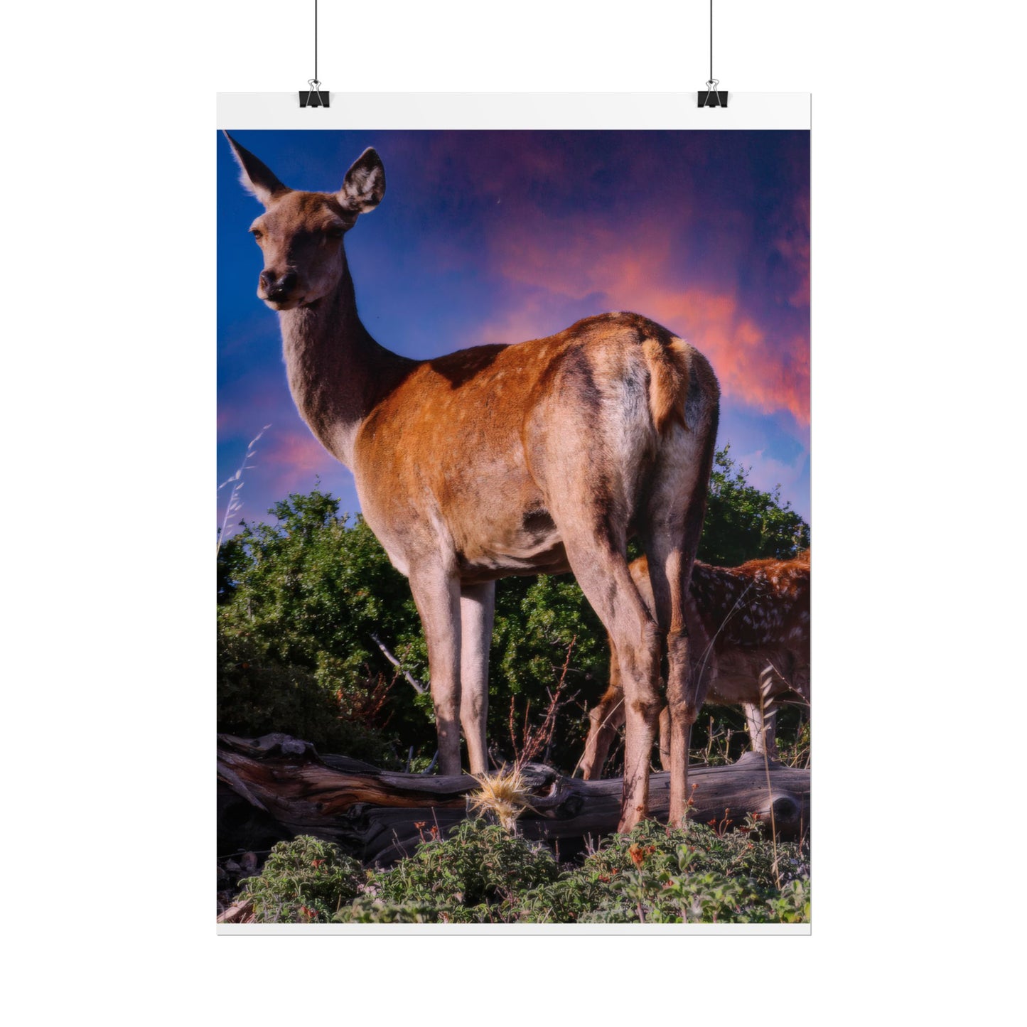 Majestic Deer Sunset Poster, Wild Doe and Fawn Nature Art, Purple Sky Wildlife Photography, Aesthetic Forest Wall Decor
