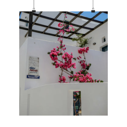 Santorini Bougainvillea Poster, Oia Greece White Architecture Art, Mediterranean Floral Wall Decor, Greek Island Photography Print Art Decor