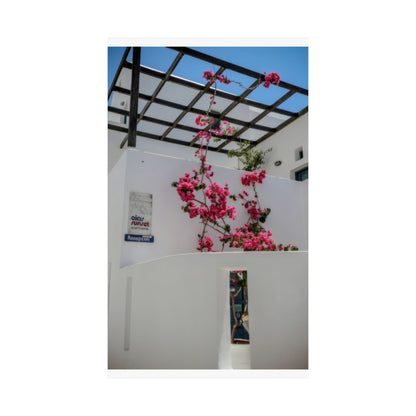 Santorini Bougainvillea Poster, Oia Greece White Architecture Art, Mediterranean Floral Wall Decor, Greek Island Photography Print Art Decor
