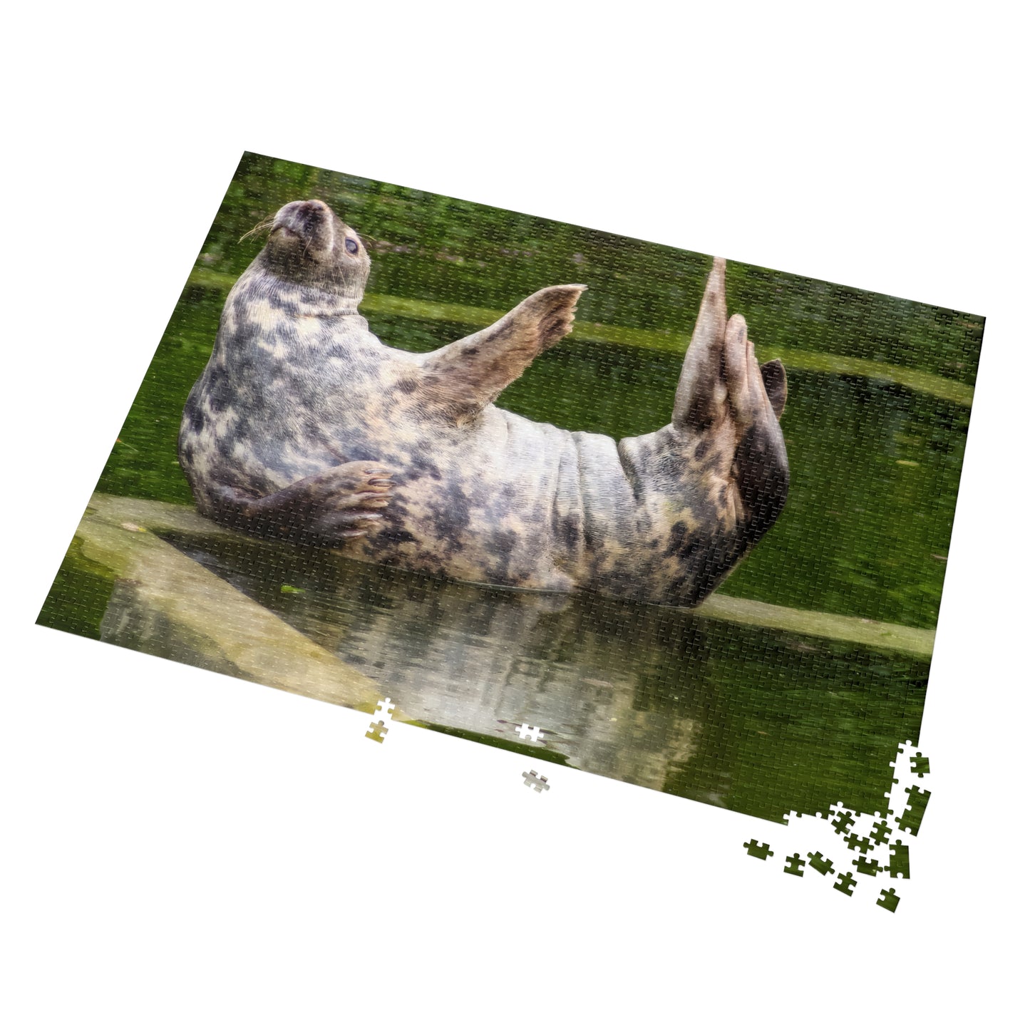 Funny Seal Yoga Jigsaw Puzzle in Tin Box, Relaxed Harbor Seal Game, Cute Marine Life Gift, Quirky Wildlife Puzzle