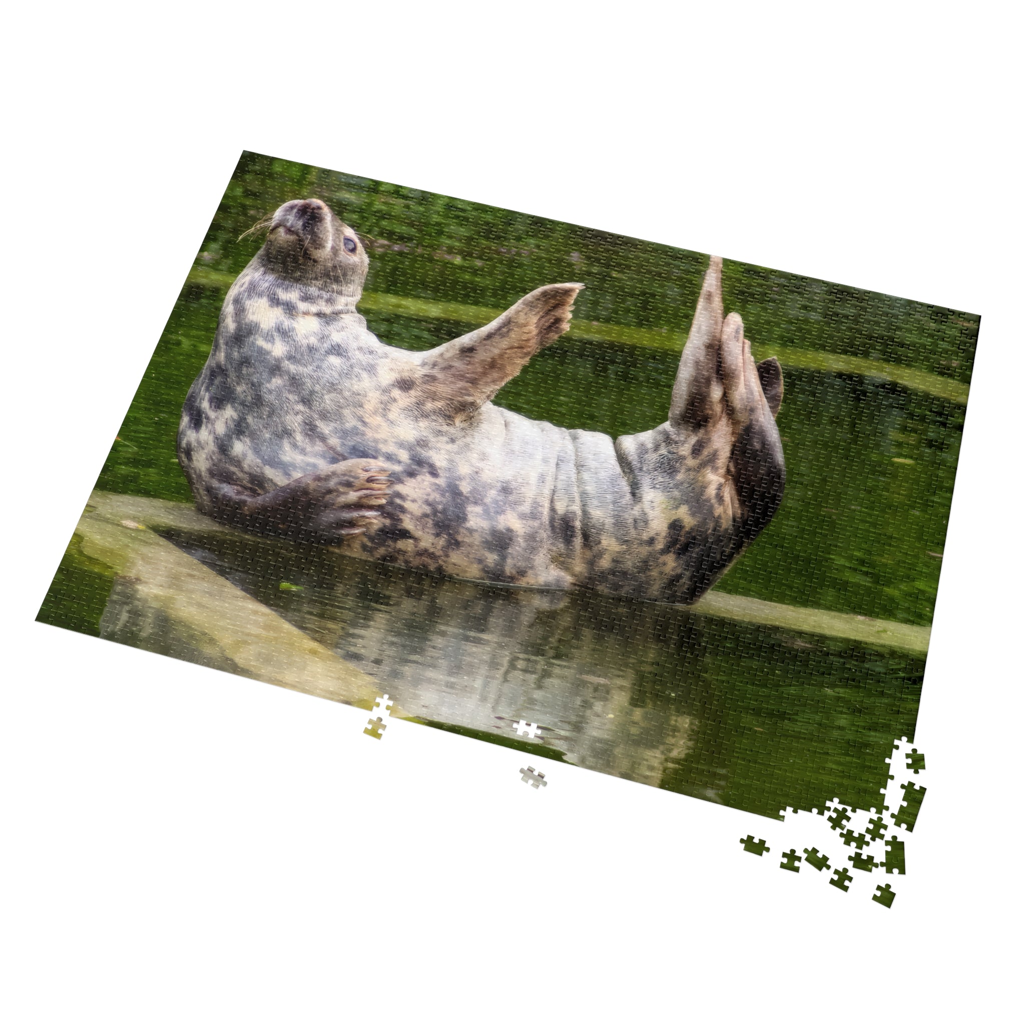 Floating Seal Jigsaw Puzzle