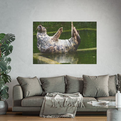 Funny Harbor Seal Poster, Playful Marine Life Wall Art, Cute Animal Zen Decor, Quirky Wildlife Photography
