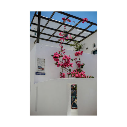 Santorini Bougainvillea Poster, Oia Greece White Architecture Art, Mediterranean Floral Wall Decor, Greek Island Photography Print Art Decor
