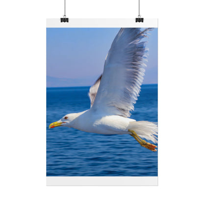 Seagull in Flight Poster, Ocean Blue Sea Wall Art, Coastal Bird Photography Print, Mediterranean Nautical Decor, Minimalist Beach House Art