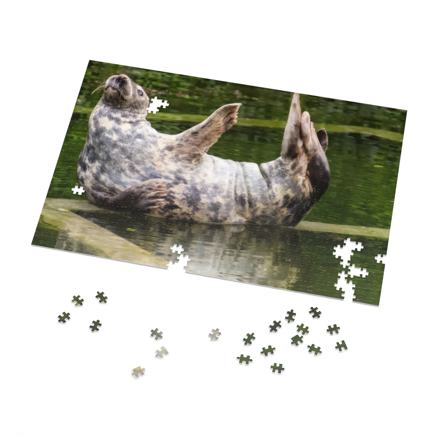 Funny Seal Yoga Jigsaw Puzzle in Tin Box, Relaxed Harbor Seal Game, Cute Marine Life Gift, Quirky Wildlife Puzzle