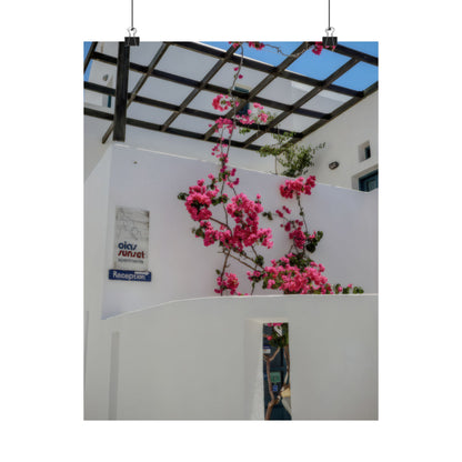 Santorini Bougainvillea Poster, Oia Greece White Architecture Art, Mediterranean Floral Wall Decor, Greek Island Photography Print Art Decor