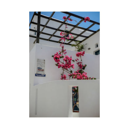 Santorini Bougainvillea Poster, Oia Greece White Architecture Art, Mediterranean Floral Wall Decor, Greek Island Photography Print Art Decor