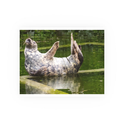 Funny Harbor Seal Poster, Playful Marine Life Wall Art, Cute Animal Zen Decor, Quirky Wildlife Photography