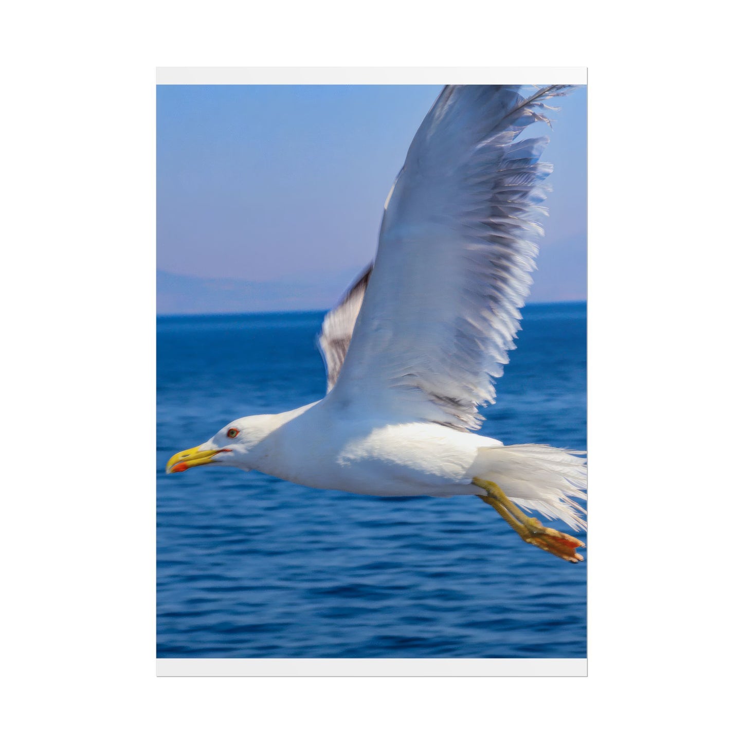 Seagull in Flight Poster, Ocean Blue Sea Wall Art, Coastal Bird Photography Print, Mediterranean Nautical Decor, Minimalist Beach House Art