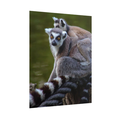 Lemur Family Sunset Poster, Ring-Tailed Lemur Nature Art, Majestic Wildlife Photography Print, Exotic Animal Decor, Jungle Nursery Wall Art