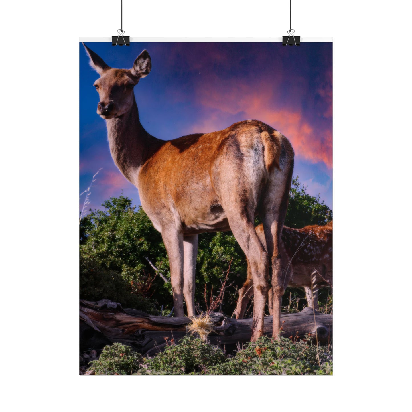Majestic Deer Sunset Poster, Wild Doe and Fawn Nature Art, Purple Sky Wildlife Photography, Aesthetic Forest Wall Decor