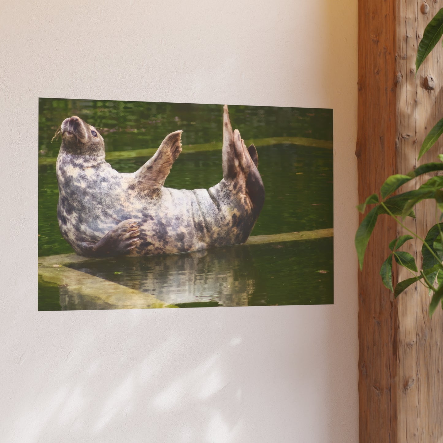 Funny Harbor Seal Poster, Playful Marine Life Wall Art, Cute Animal Zen Decor, Quirky Wildlife Photography