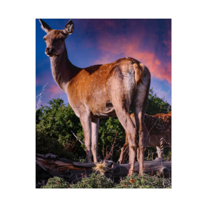 Majestic Deer Sunset Poster, Wild Doe and Fawn Nature Art, Purple Sky Wildlife Photography, Aesthetic Forest Wall Decor