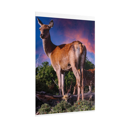 Majestic Deer Sunset Poster, Wild Doe and Fawn Nature Art, Purple Sky Wildlife Photography, Aesthetic Forest Wall Decor