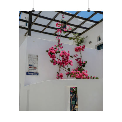 Santorini Bougainvillea Poster, Oia Greece White Architecture Art, Mediterranean Floral Wall Decor, Greek Island Photography Print Art Decor