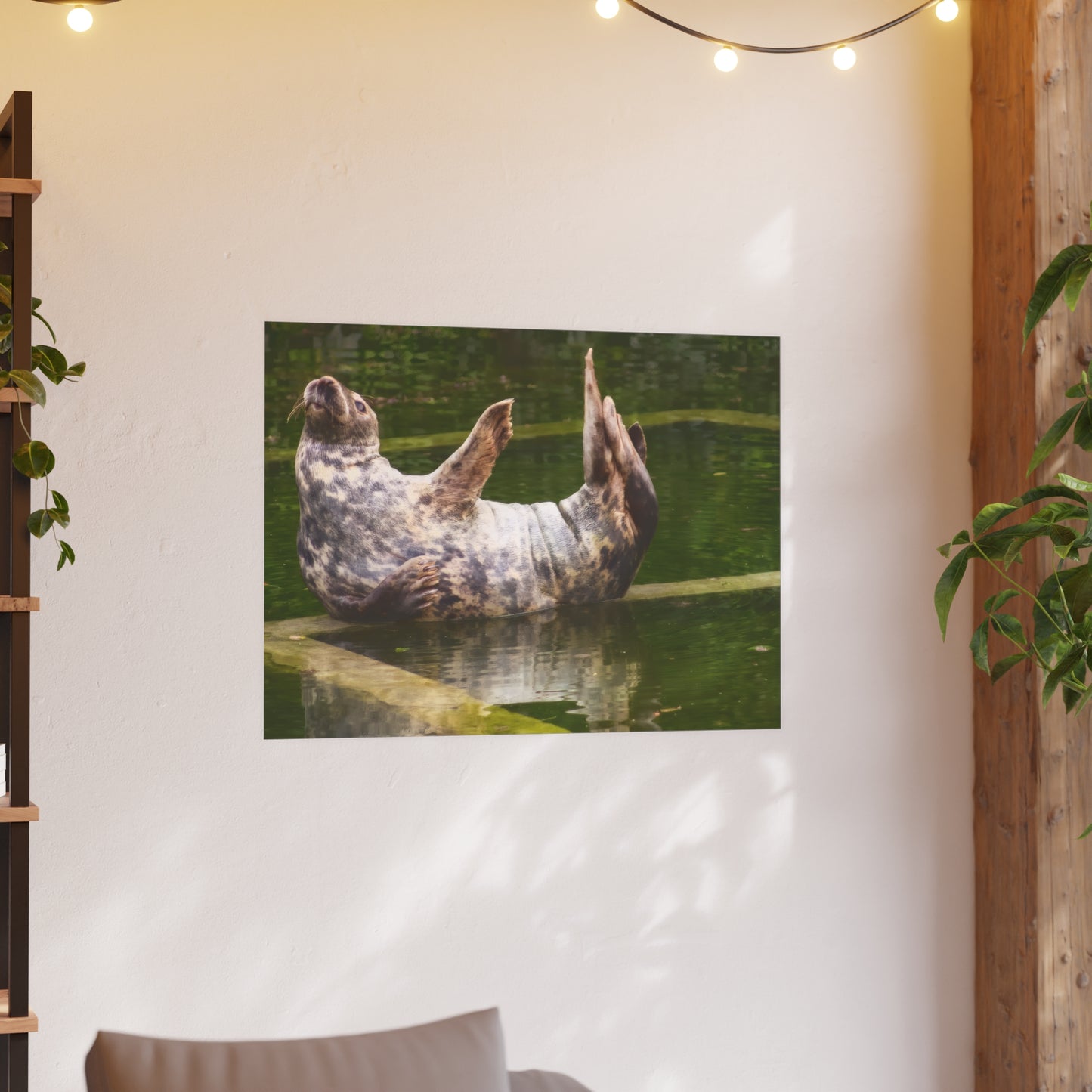 Funny Harbor Seal Poster, Playful Marine Life Wall Art, Cute Animal Zen Decor, Quirky Wildlife Photography
