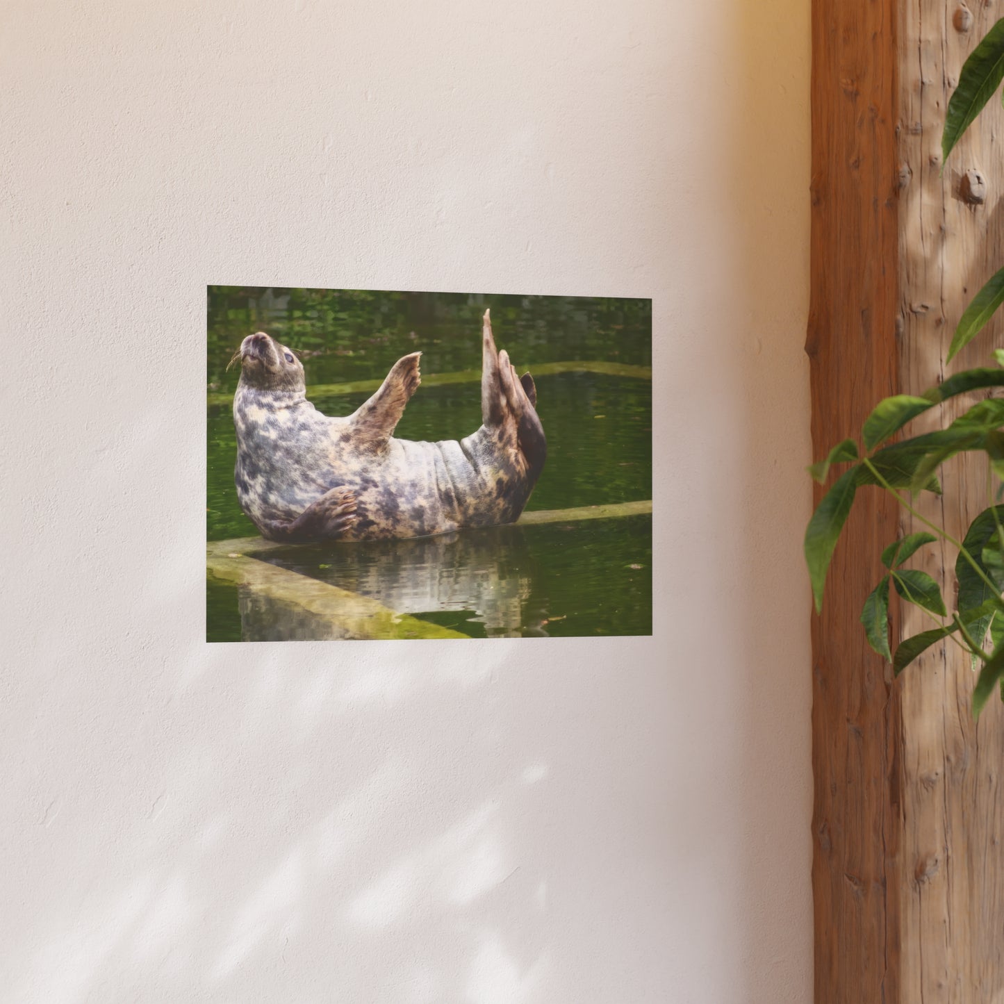 Funny Harbor Seal Poster, Playful Marine Life Wall Art, Cute Animal Zen Decor, Quirky Wildlife Photography