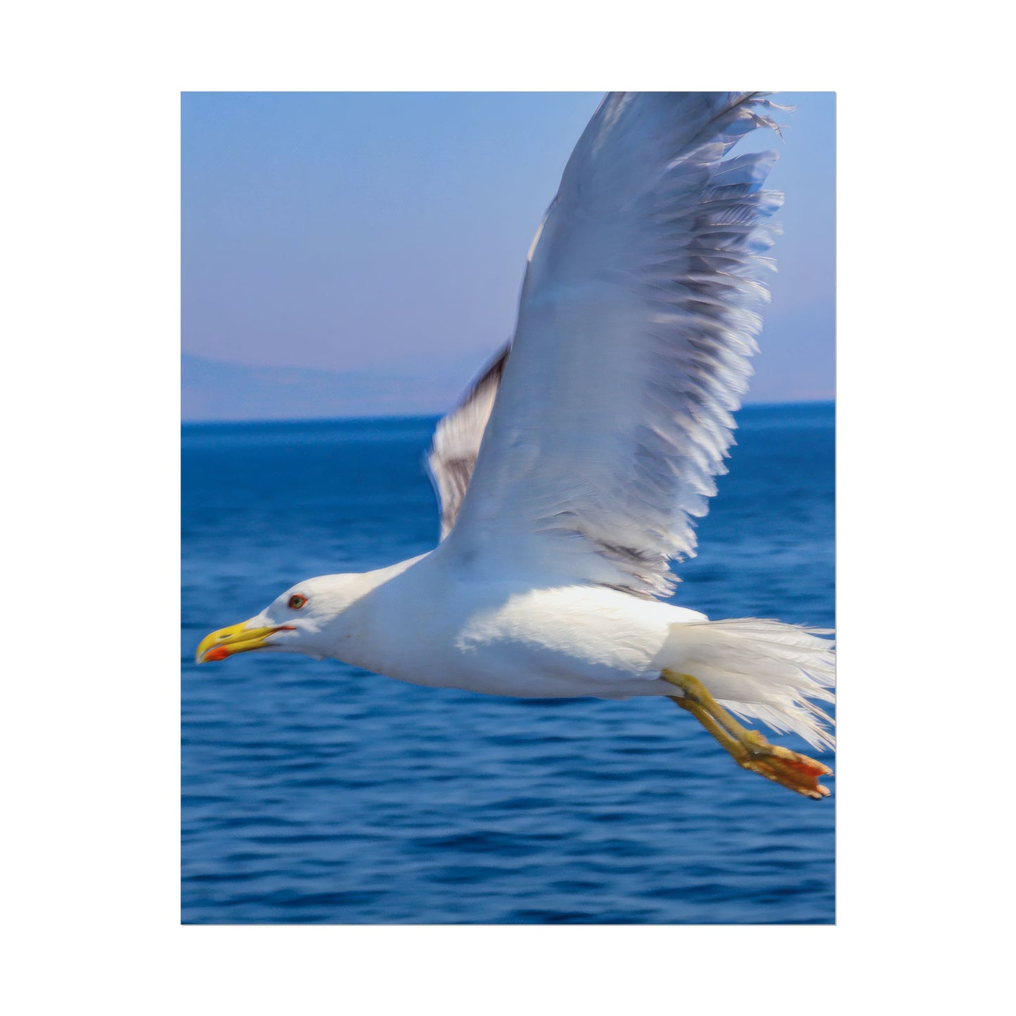 Seagull in Flight Poster, Ocean Blue Sea Wall Art, Coastal Bird Photography Print, Mediterranean Nautical Decor, Minimalist Beach House Art