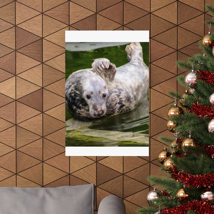 Funny Harbor Seal Poster, Playful Marine Life Wall Art, Cute Animal Zen Decor, Quirky Wildlife Photography, Archival Matte Print Wall Art
