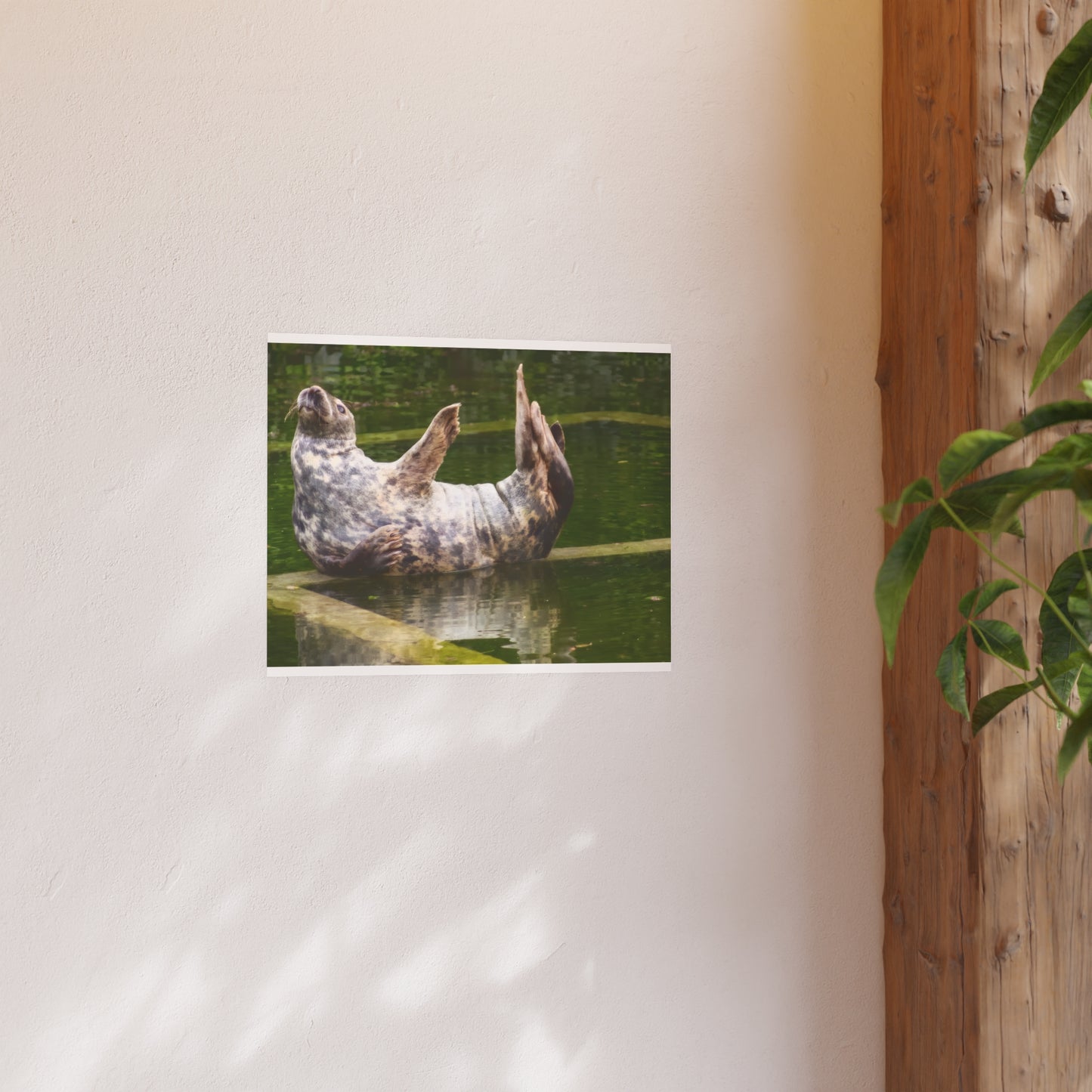 Funny Harbor Seal Poster, Playful Marine Life Wall Art, Cute Animal Zen Decor, Quirky Wildlife Photography