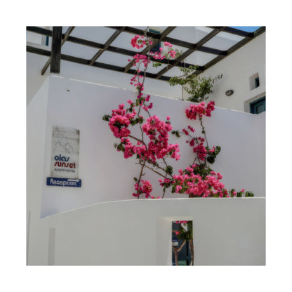 Santorini Bougainvillea Poster, Oia Greece White Architecture Art, Mediterranean Floral Wall Decor, Greek Island Photography Print Art Decor
