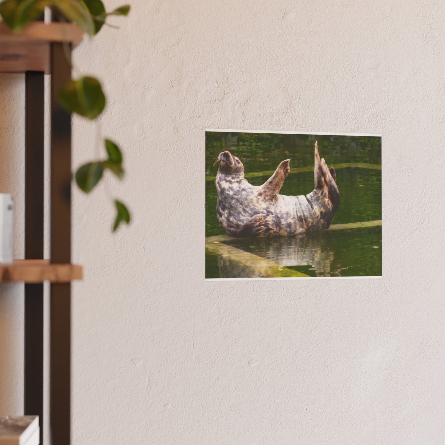 Funny Harbor Seal Poster, Playful Marine Life Wall Art, Cute Animal Zen Decor, Quirky Wildlife Photography