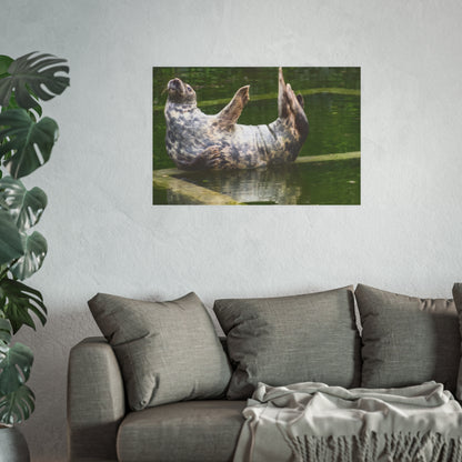 Funny Harbor Seal Poster, Playful Marine Life Wall Art, Cute Animal Zen Decor, Quirky Wildlife Photography
