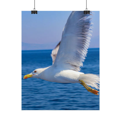 Seagull in Flight Poster, Ocean Blue Sea Wall Art, Coastal Bird Photography Print, Mediterranean Nautical Decor, Minimalist Beach House Art
