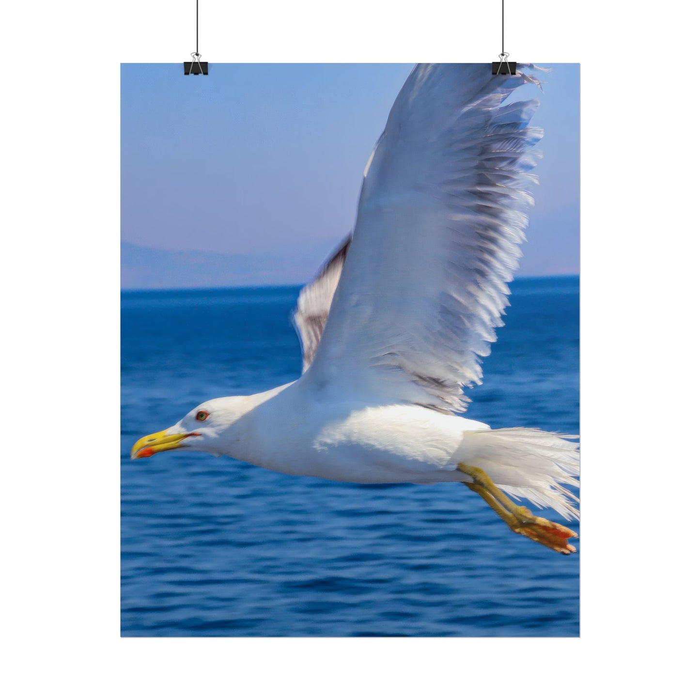 Seagull in Flight Poster, Ocean Blue Sea Wall Art, Coastal Bird Photography Print, Mediterranean Nautical Decor, Minimalist Beach House Art