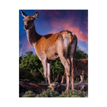 Majestic Deer Sunset Poster, Wild Doe and Fawn Nature Art, Purple Sky Wildlife Photography, Aesthetic Forest Wall Decor