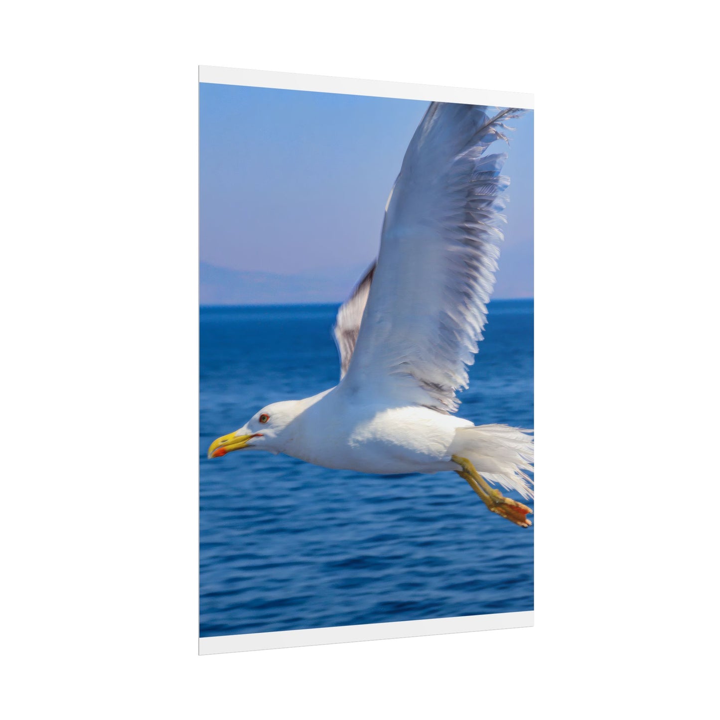 Seagull in Flight Poster, Ocean Blue Sea Wall Art, Coastal Bird Photography Print, Mediterranean Nautical Decor, Minimalist Beach House Art