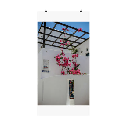 Santorini Bougainvillea Poster, Oia Greece White Architecture Art, Mediterranean Floral Wall Decor, Greek Island Photography Print Art Decor