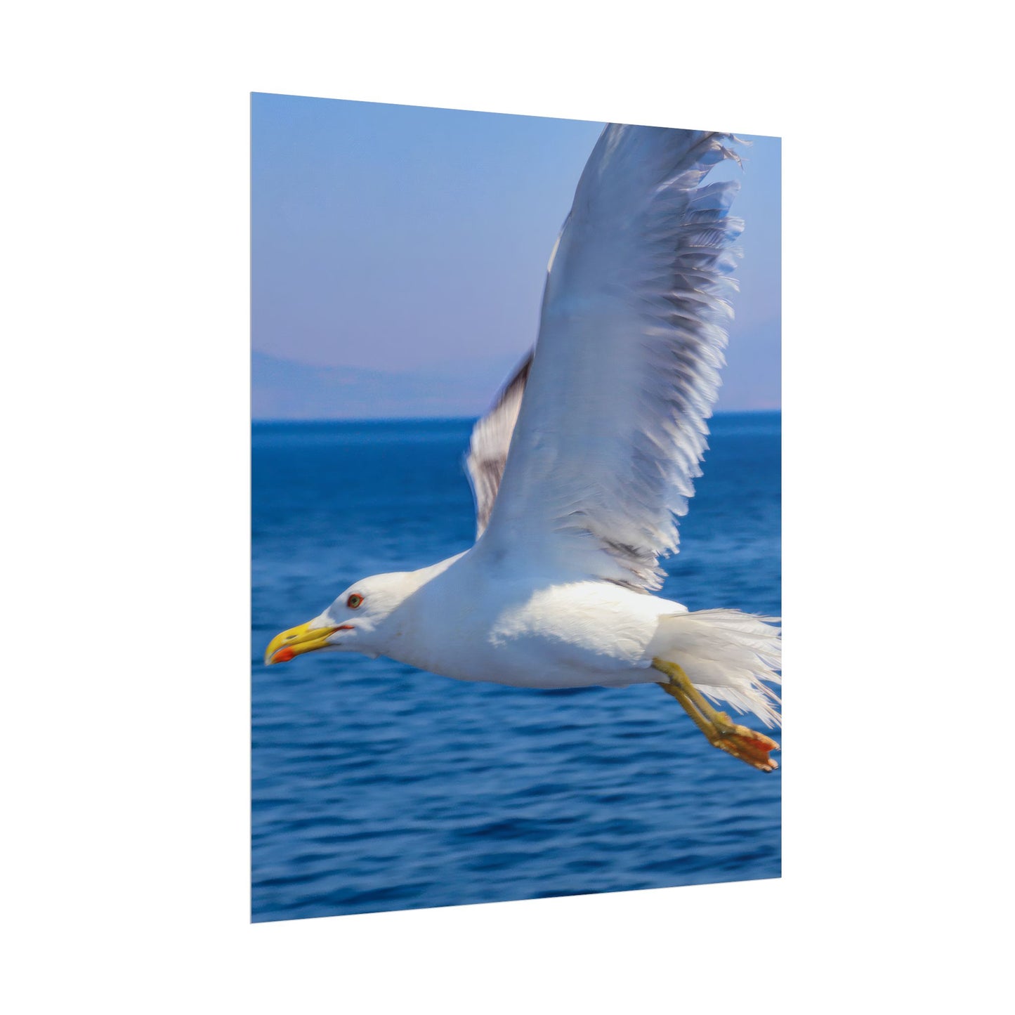Seagull in Flight Poster, Ocean Blue Sea Wall Art, Coastal Bird Photography Print, Mediterranean Nautical Decor, Minimalist Beach House Art
