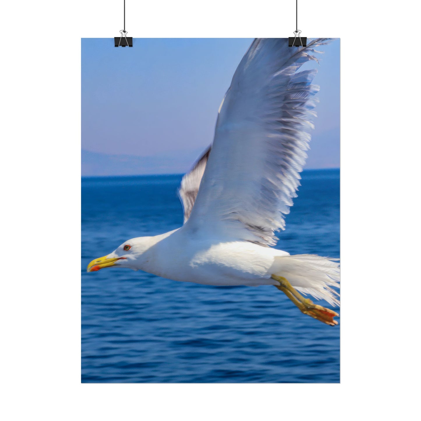 Seagull in Flight Poster, Ocean Blue Sea Wall Art, Coastal Bird Photography Print, Mediterranean Nautical Decor, Minimalist Beach House Art