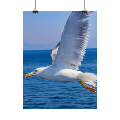 Seagull in Flight Poster, Ocean Blue Sea Wall Art, Coastal Bird Photography Print, Mediterranean Nautical Decor, Minimalist Beach House Art