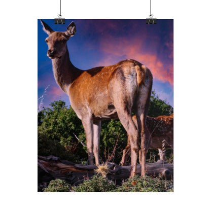 Majestic Deer Sunset Poster, Wild Doe and Fawn Nature Art, Purple Sky Wildlife Photography, Aesthetic Forest Wall Decor