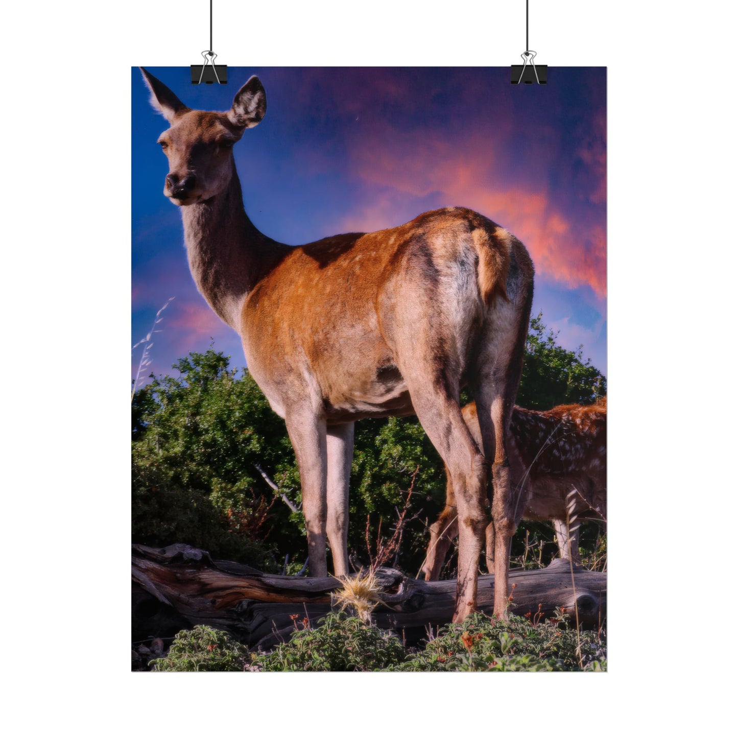 Majestic Deer Sunset Poster, Wild Doe and Fawn Nature Art, Purple Sky Wildlife Photography, Aesthetic Forest Wall Decor